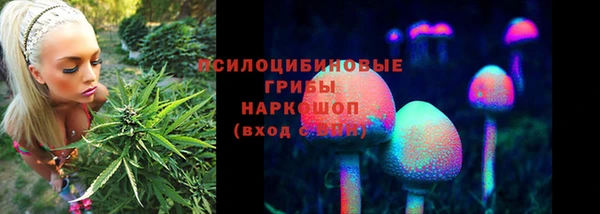 марки lsd Абаза